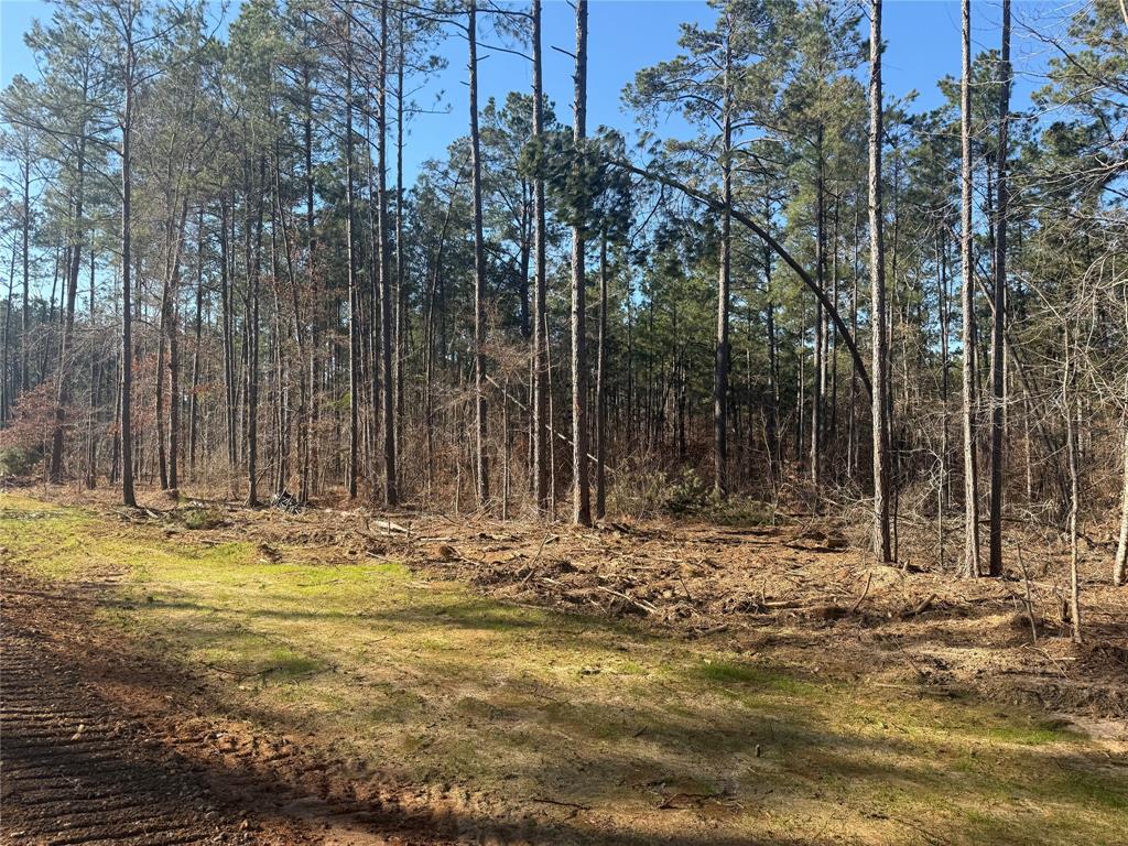 Lot 10 King Estate Lane Ruston, LA 71270 - Photo 3 of 8 a view of a backyard of the house