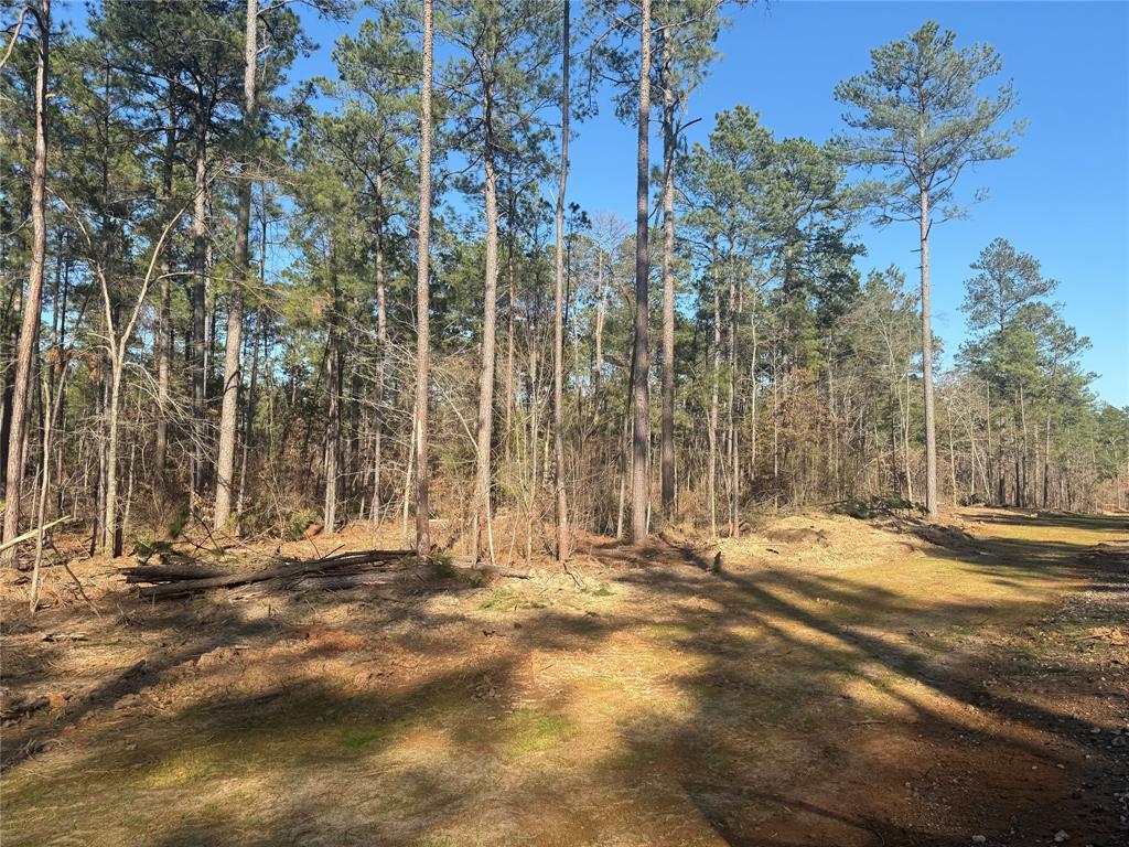 Lot 10 King Estate Lane Ruston, LA 71270 - Photo 5 of 8 a view of outdoor space with trees