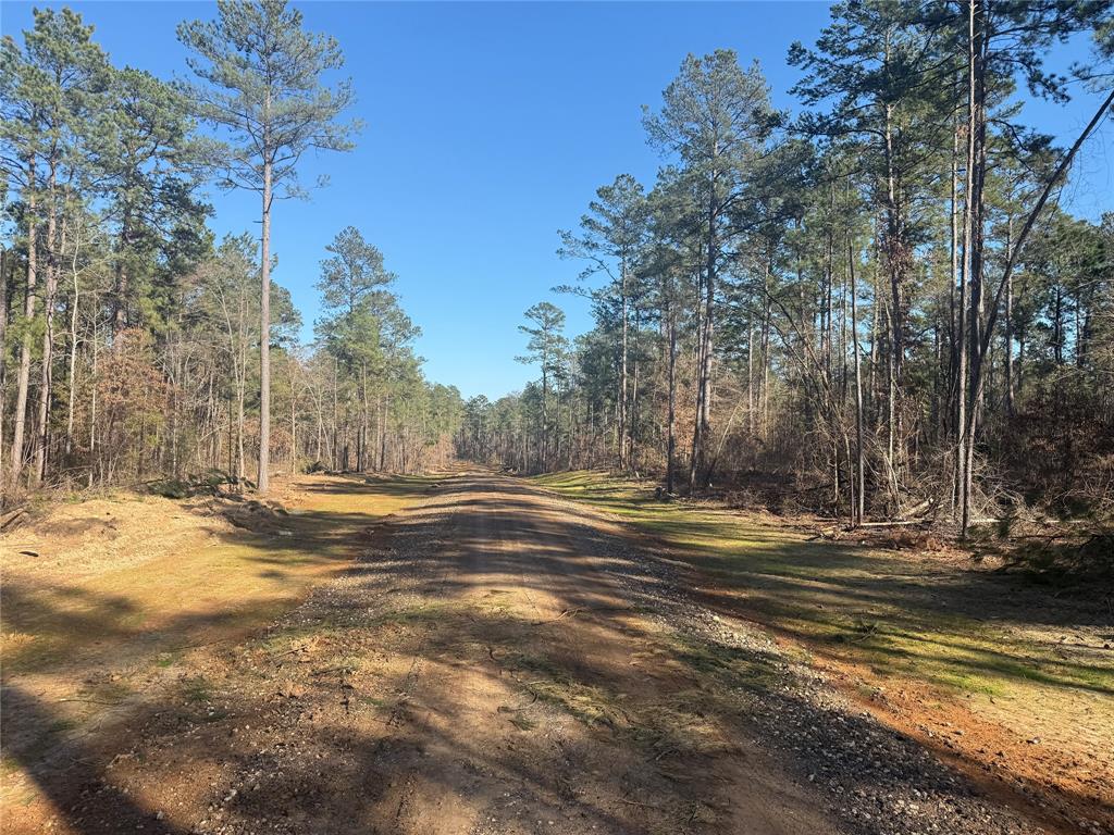 Lot 10 King Estate Lane Ruston, LA 71270 - Photo 6 of 8 a view of a house with a snow on the road