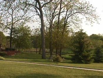 12200 Pine Lake Road Plainwell, MI 49080 - Photo 11 of 12 Additional Photo