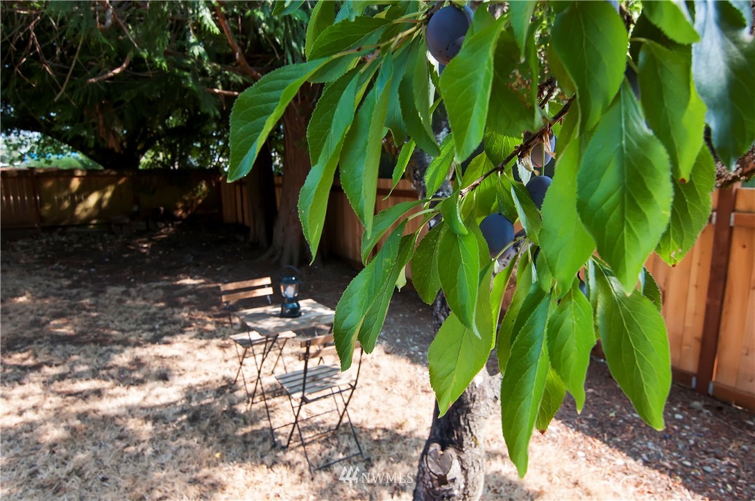 8615 Terrace Road Southwest Lakewood, WA 98498 - Photo 19 of 20 Gallery Image 19