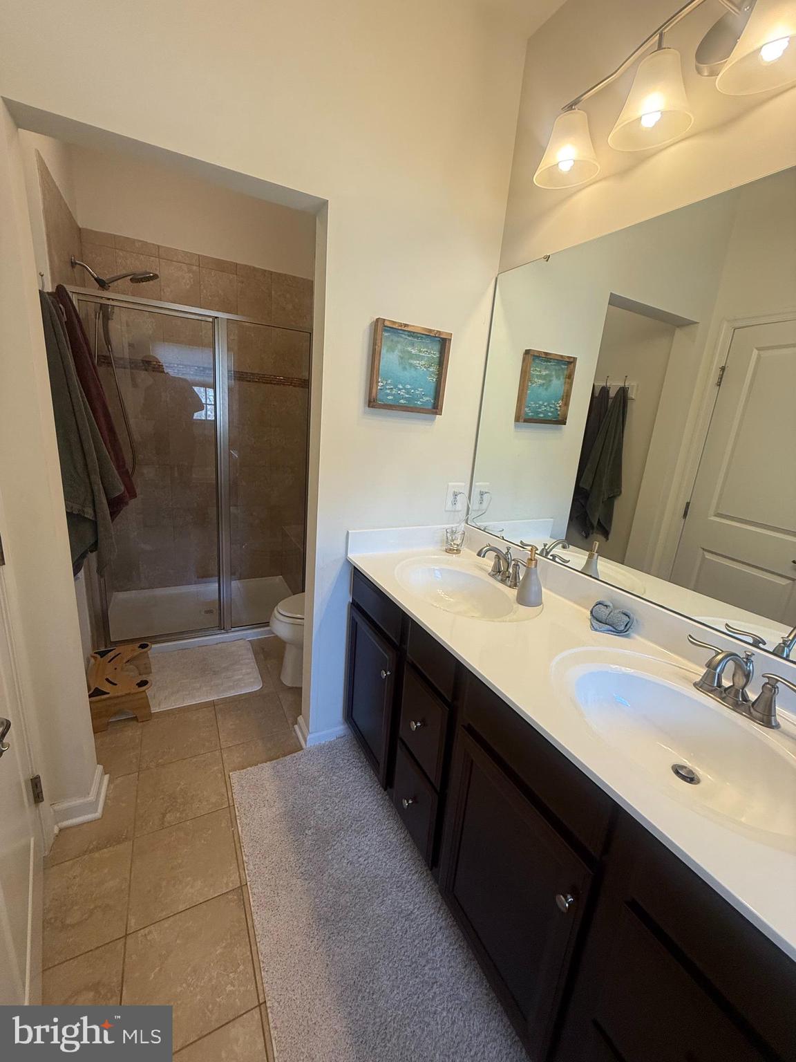 2784 Fredericksburg Road Hanover, MD 21076 - Photo 23 of 39 a bathroom with a double vanity sink a toilet a mirror and shower