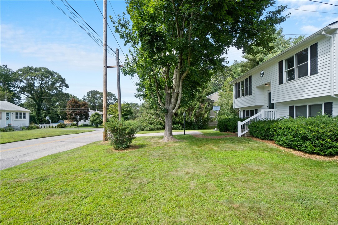 Front Yard