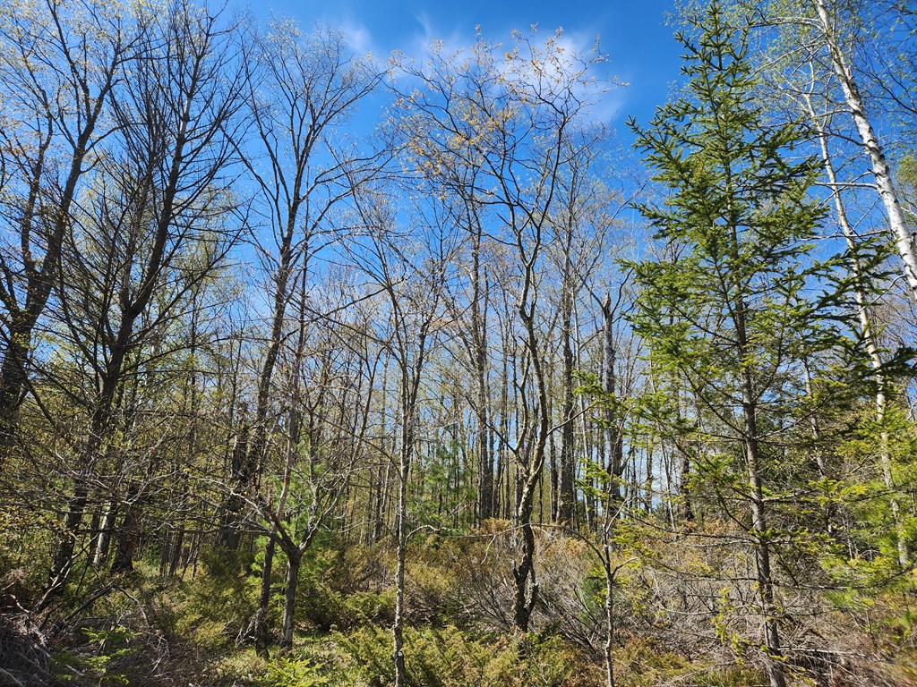 Tbd Old Stage Road Sister Bay, WI 54234 - Photo 11 of 13