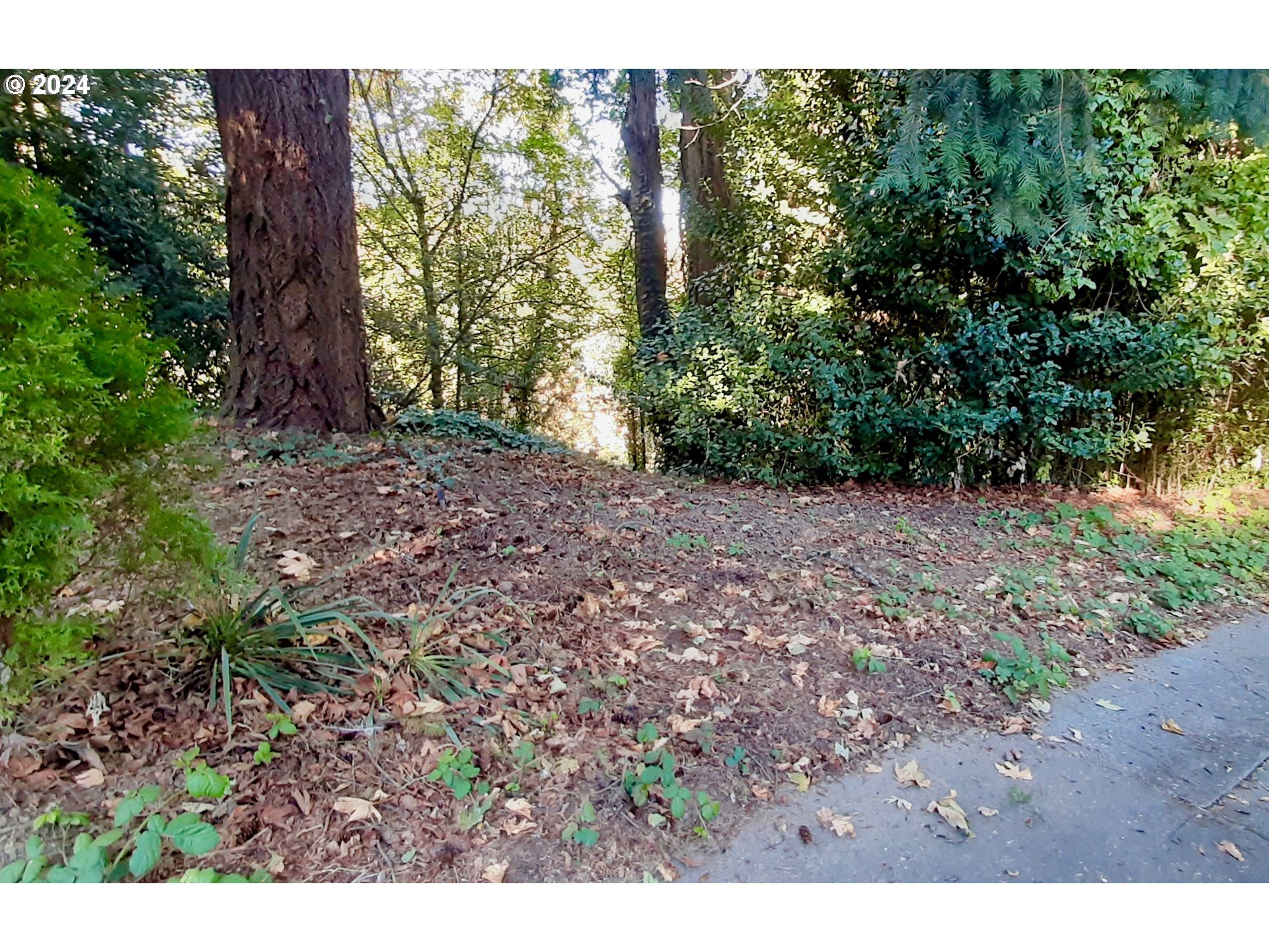 a view of backyard with green space
