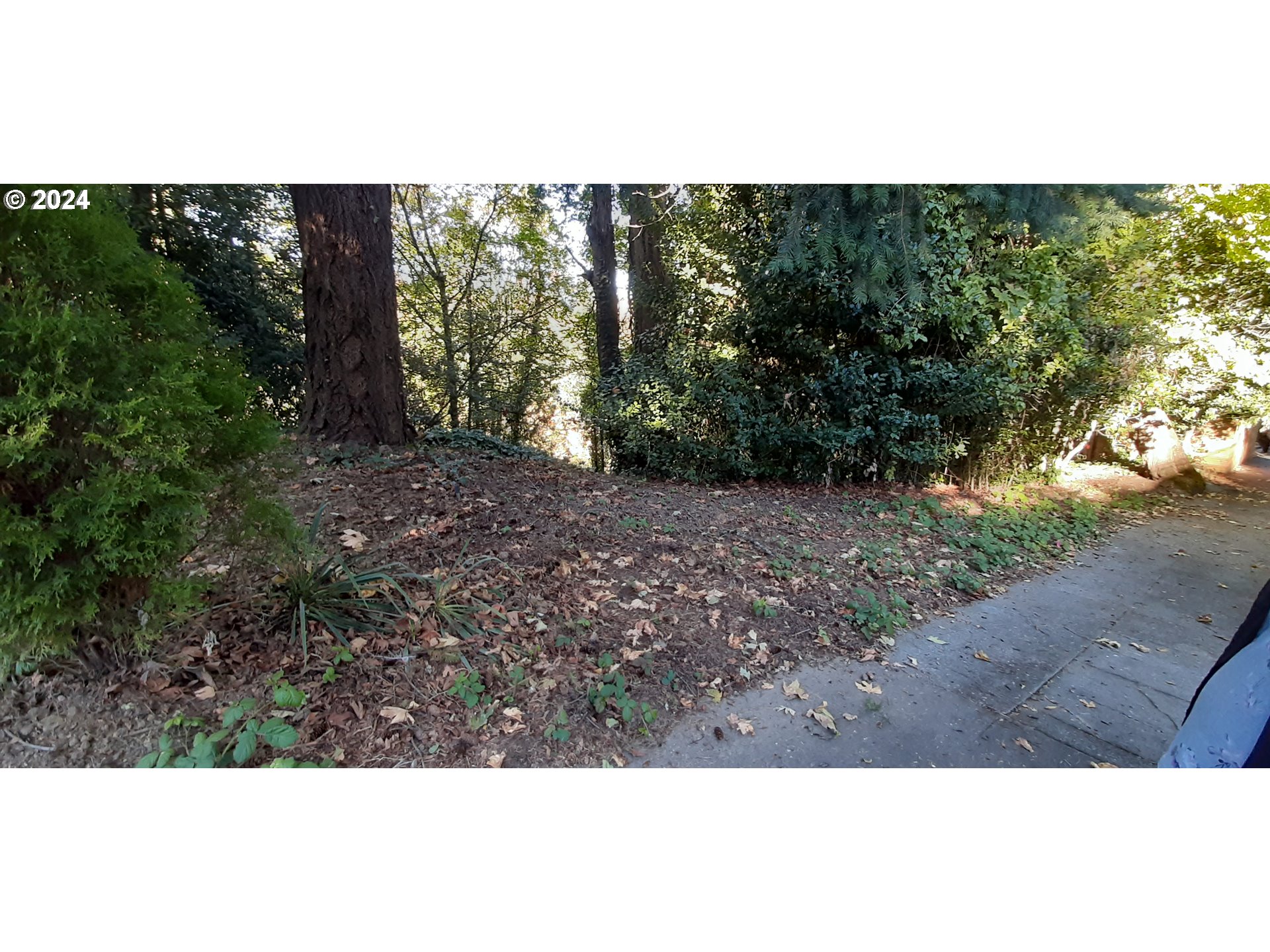 Southwest Champlain Drive Portland, OR 97205 - Photo 3 of 7 a view of a yard with a tree