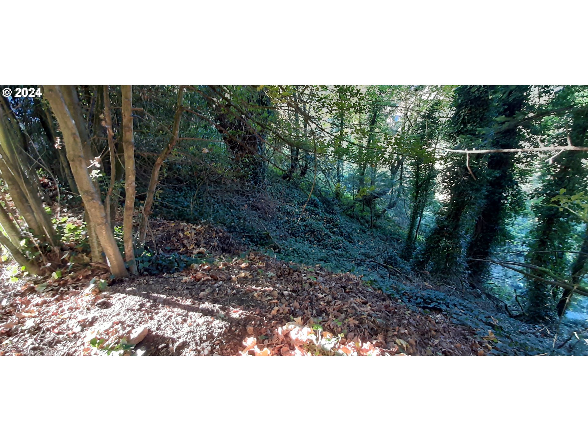 Southwest Champlain Drive Portland, OR 97205 - Photo 6 of 7 a view of a yard with a tree