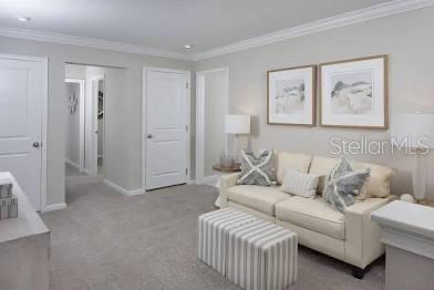 5479 Brooklet Wds Drive Wesley Chapel, FL 33545 - Photo 9 of 11