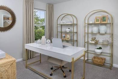 5479 Brooklet Wds Drive Wesley Chapel, FL 33545 - Photo 10 of 11