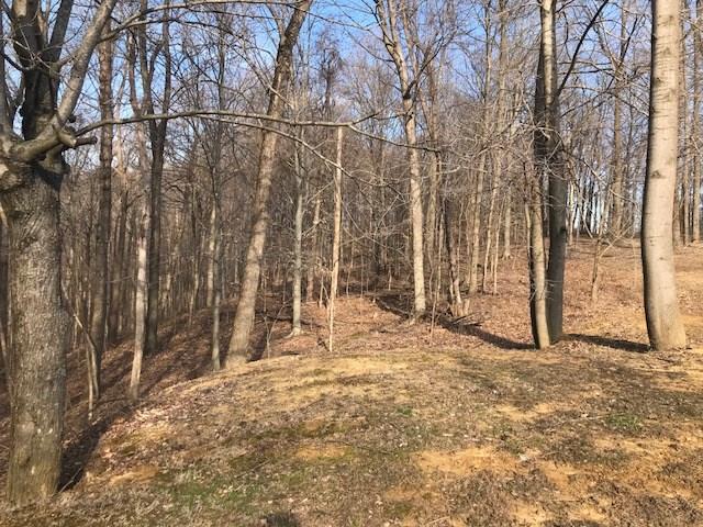 1160 Hinson Road Martinsville, IN 46151 - Photo 2 of 35 Gallery Image 2