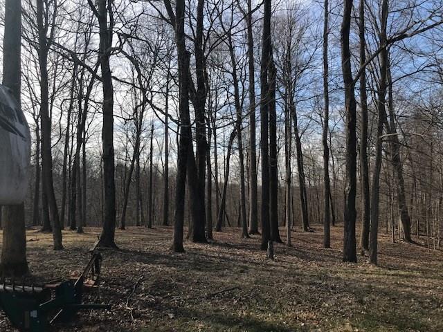 1160 Hinson Road Martinsville, IN 46151 - Photo 6 of 35 Gallery Image 6