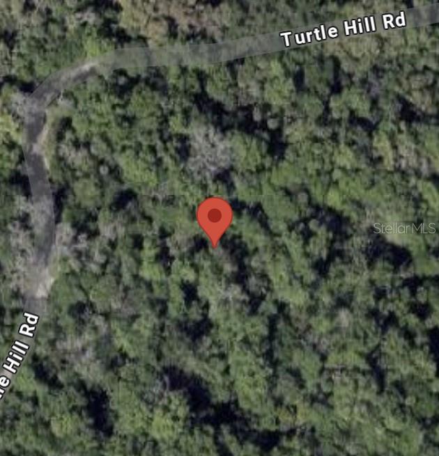 1855 Turtle Hill Road Deltona, FL 32725 - Photo 2 of 3 a view of a tree in a yard