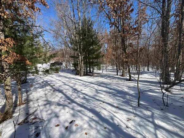 $9,000 | 0 Pocahontas Trail, Unit 6, Roscommon, MI 48653