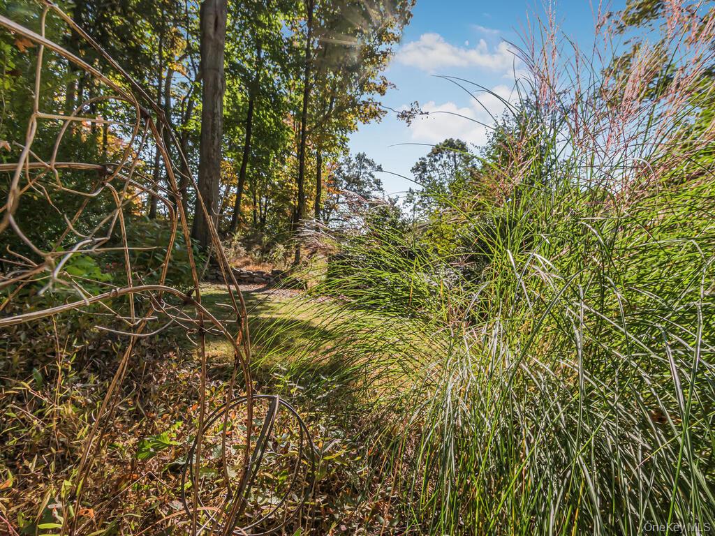105 Douglas Road Chappaqua, NY 10514 - Photo 28 of 33 View of local wilderness