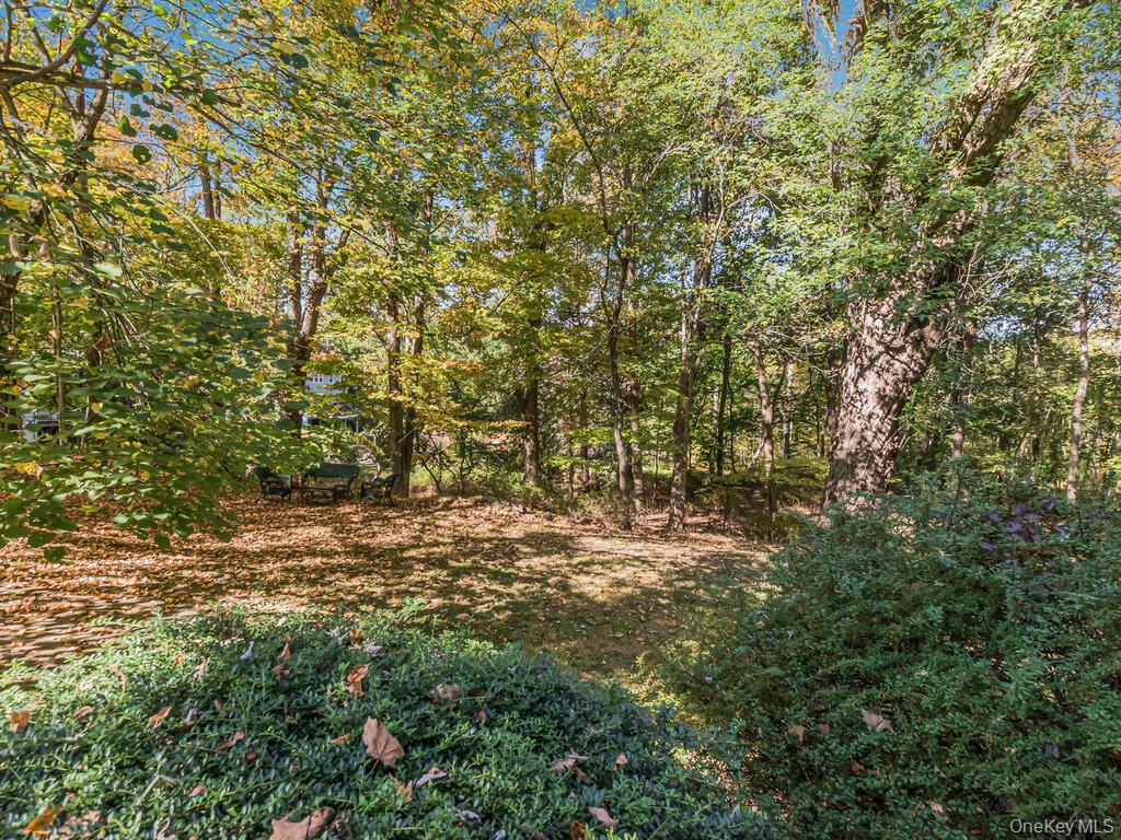 105 Douglas Road Chappaqua, NY 10514 - Photo 32 of 33 View of wooded area