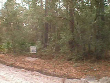 Tully Avenue Panacea, FL 32346 - Photo 1 of 1