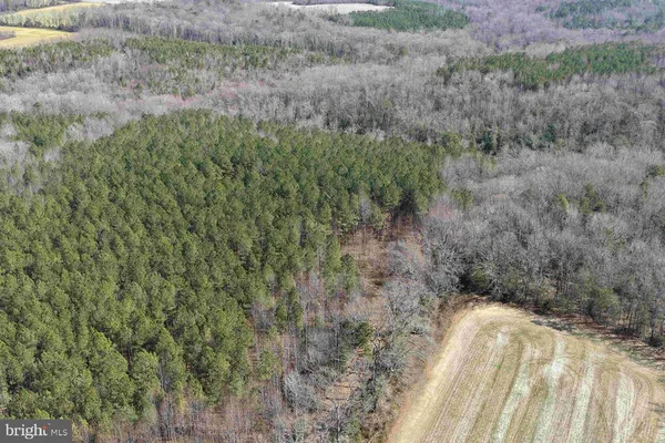 $475,000 | Cedar Field Road, Warsaw, VA 22572