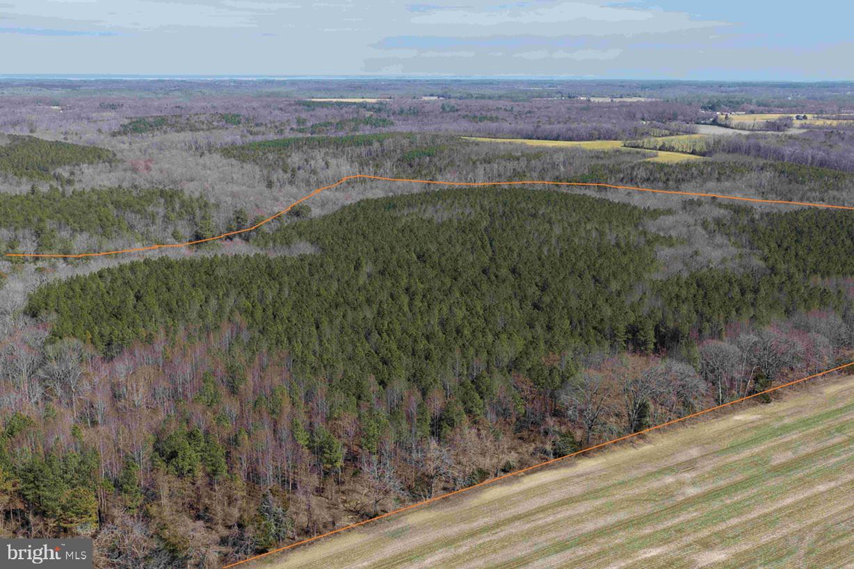Cedar Field Road Warsaw, VA 22572 - Photo 2 of 14 a view of a yard with an outdoor space