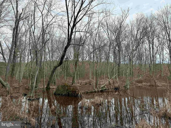 a view of a lake with a trees