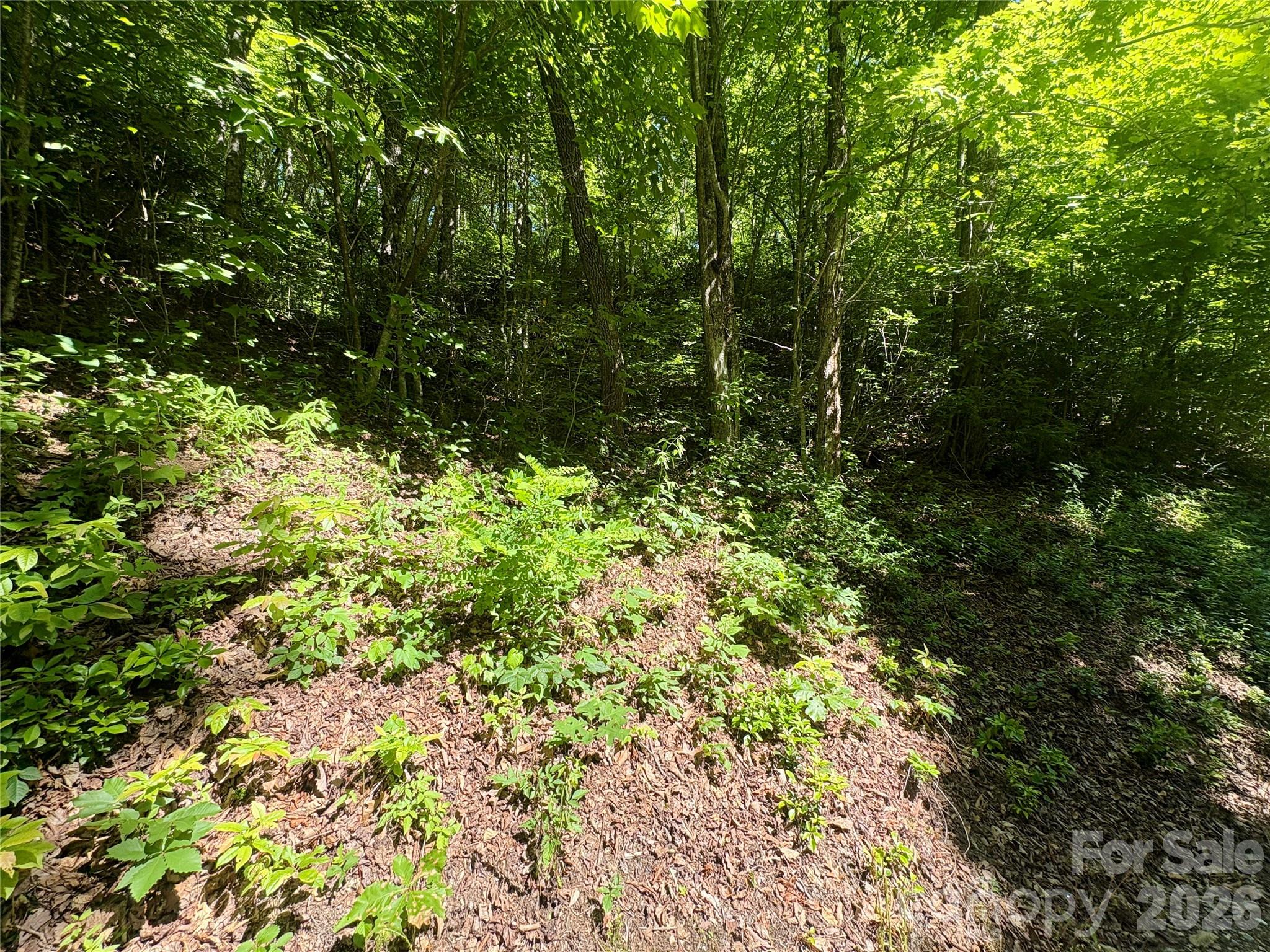 0 Middle Ridge, Unit 38 Whittier, NC 28789 - Photo 4 of 6