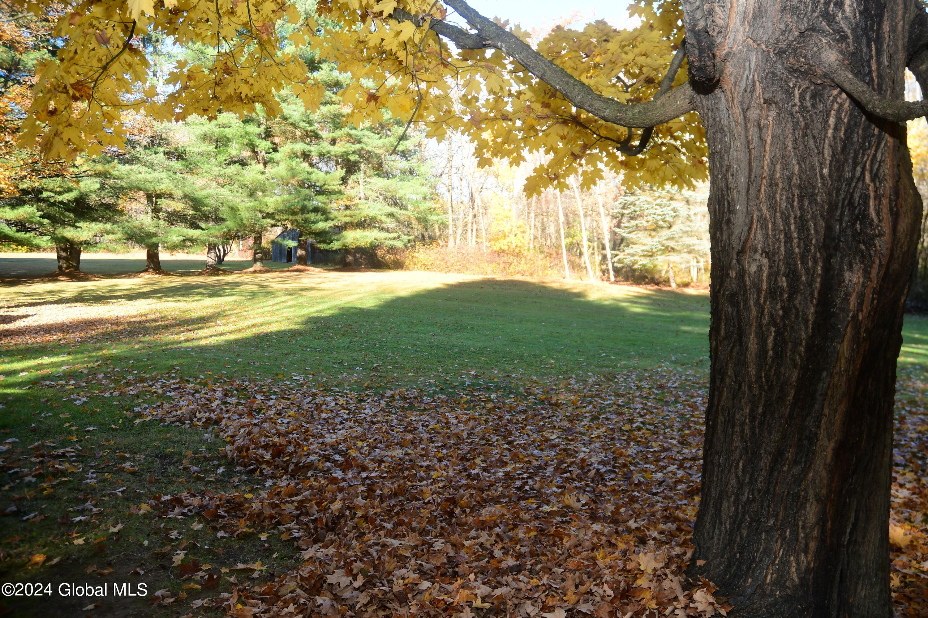 245 Voorhees Road Perth, NY 12010 - Photo 51 of 52 DSC_0048