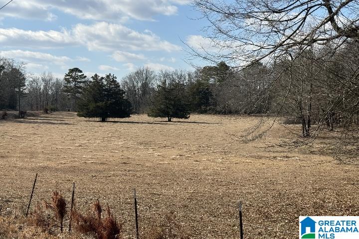 1036 Rushing Springs Road Lincoln, AL 35096 - Photo 55 of 58