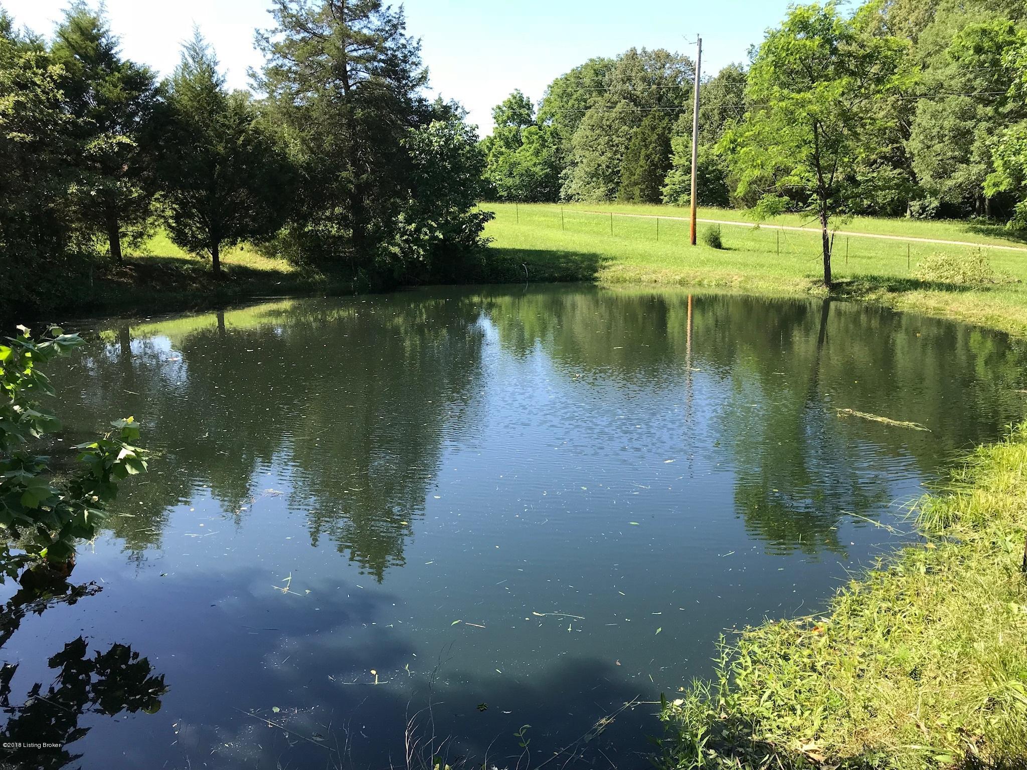505 Bunger Road Ekron, KY 40117 - Photo 8 of 69 Fishing pond.