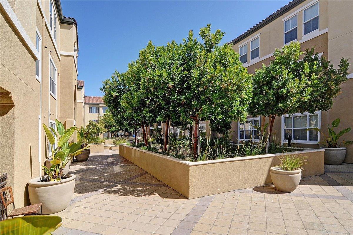 1883 Agnew Road, Unit 341 Santa Clara, CA 95054 - Photo 23 of 38 a view of a potted flower in the corridor