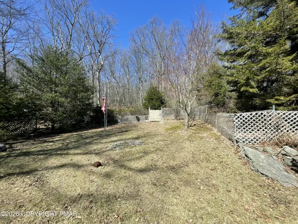 a view of a yard with plants and trees