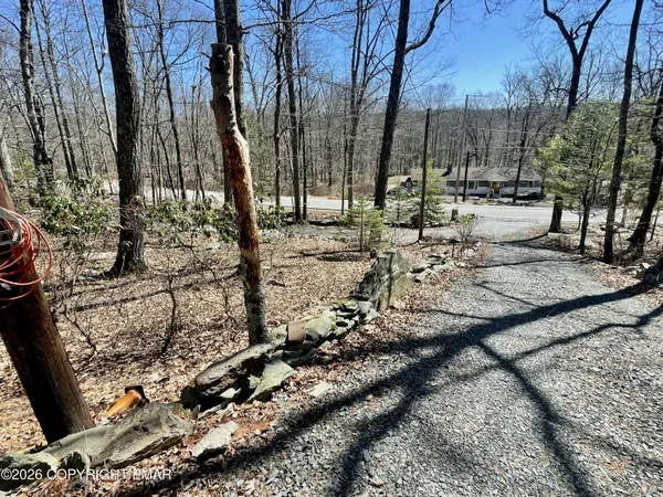 a view of a park with large trees