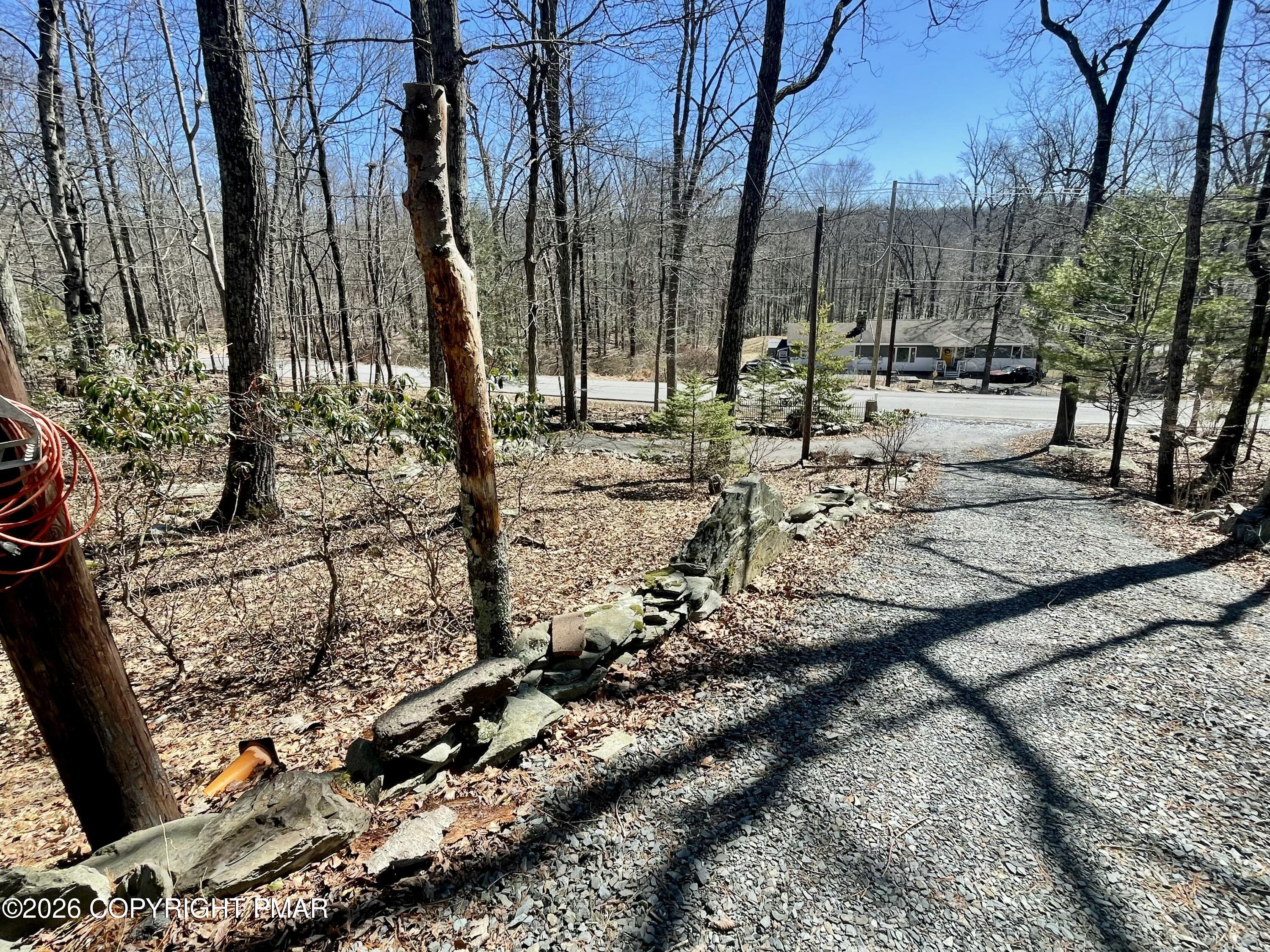 2319 Bear Town Road Canadensis, PA 18325 - Photo 28 of 31 a view of a yard with plants and trees
