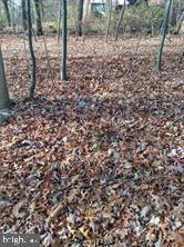 0 High Road Silver Spring, MD 20906 - Photo 4 of 4