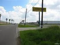 a view of a park with a tree