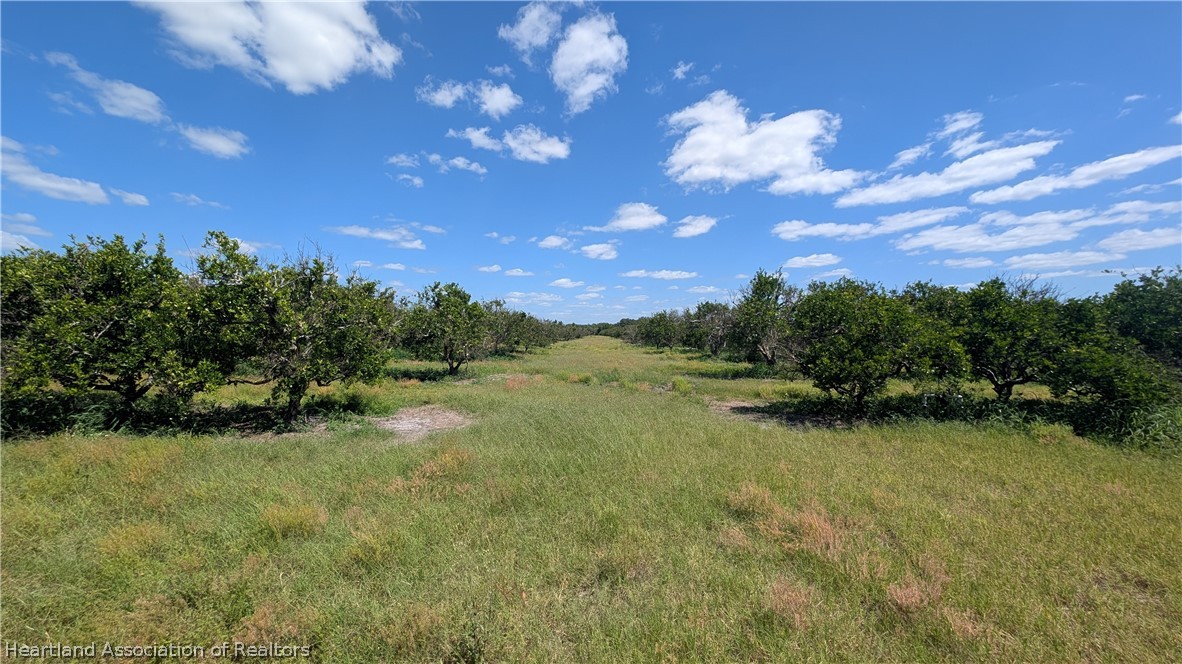 Crewsville Road Zolfo Springs, FL 33890 - Photo 17 of 34 a view of lake with outdoor space