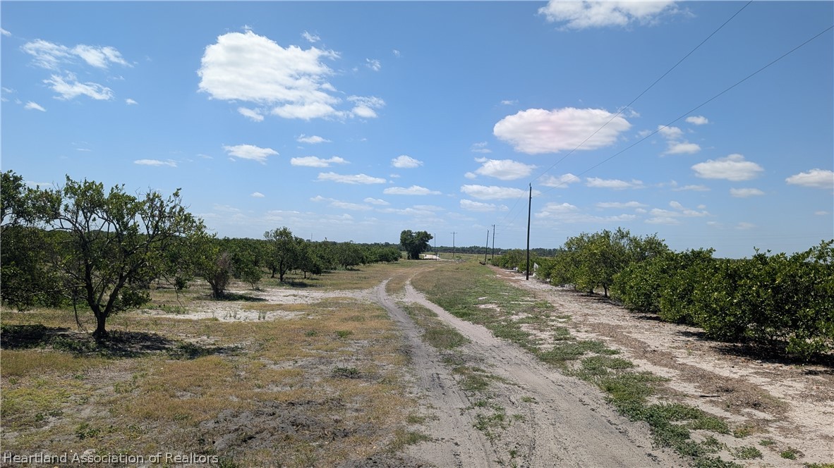 Crewsville Road Zolfo Springs, FL 33890 - Photo 19 of 34 a view of a road with a yard