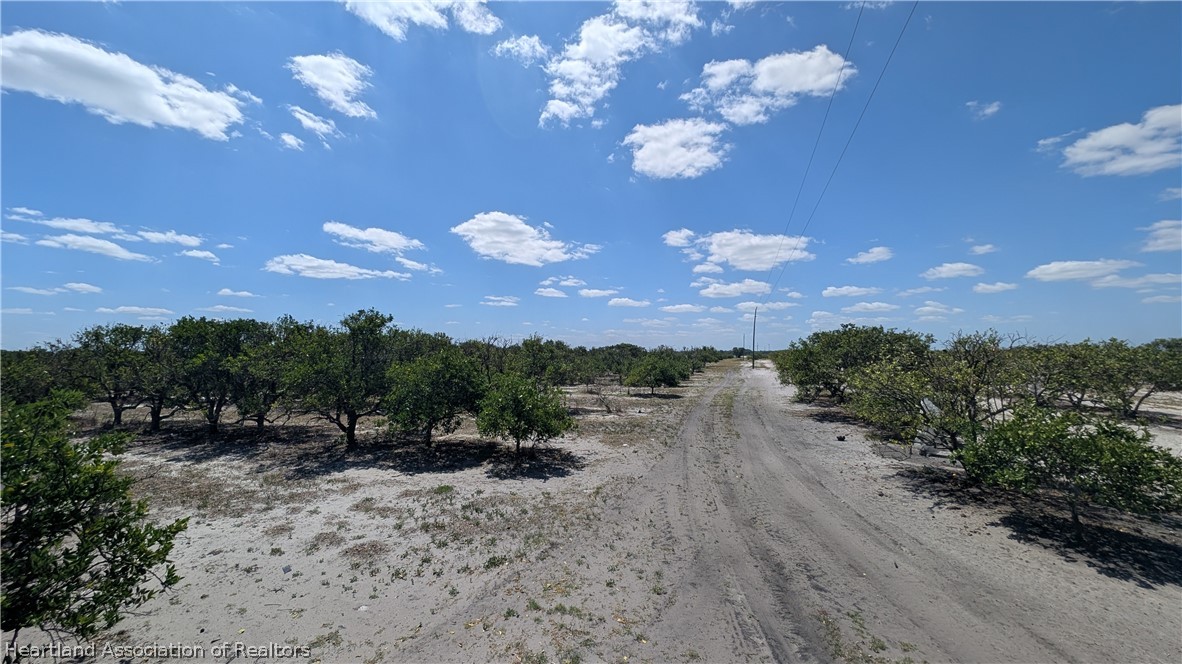 Crewsville Road Zolfo Springs, FL 33890 - Photo 28 of 34 a view of a town with large trees