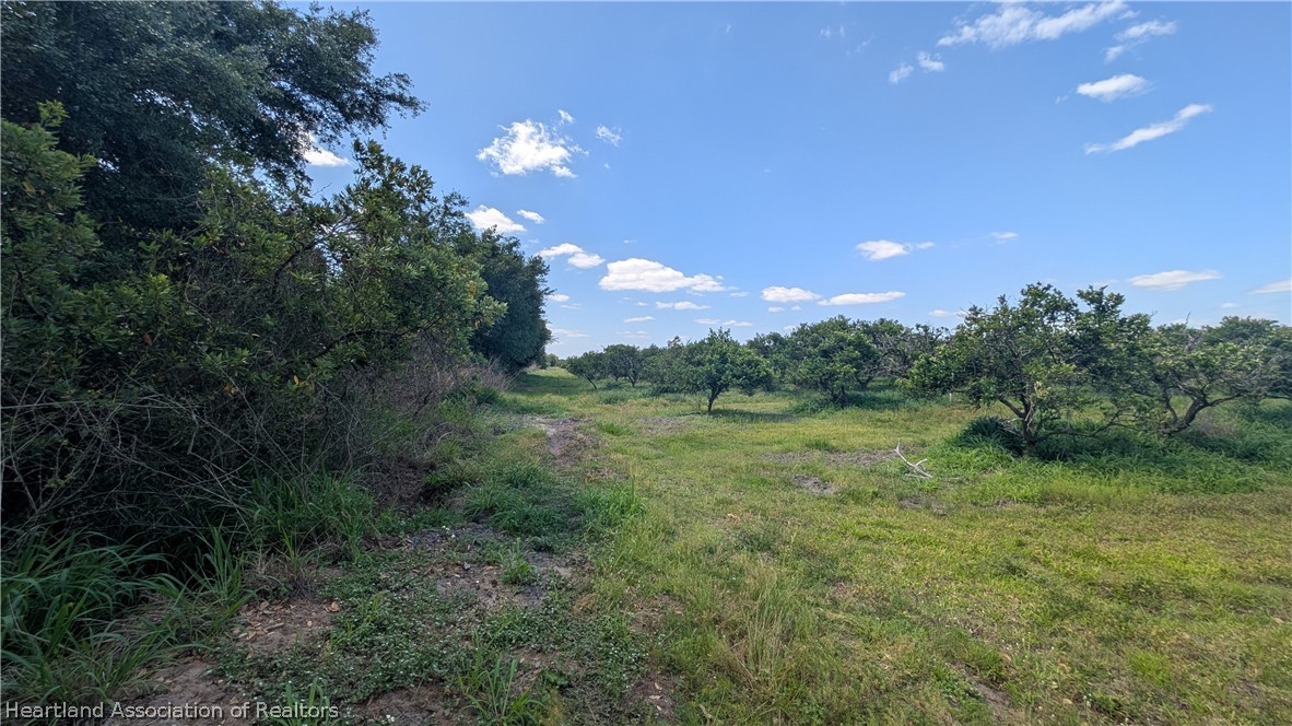 Crewsville Road Zolfo Springs, FL 33890 - Photo 9 of 34 a view of an outdoor space and a yard