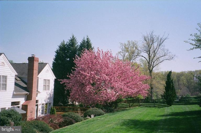 1214 Tottenham Court Reston, VA 20194 - Photo 11 of 13 a front view of a house with garden