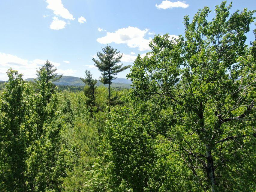 Lot 7 Grandview Road Bethel, ME 04217 - Photo 8 of 17 Image 10 GV
