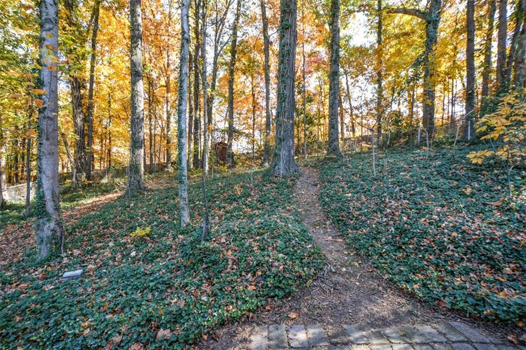 554 Alpine Way Marietta, GA 30062 - Photo 26 of 27 a view of yard with trees