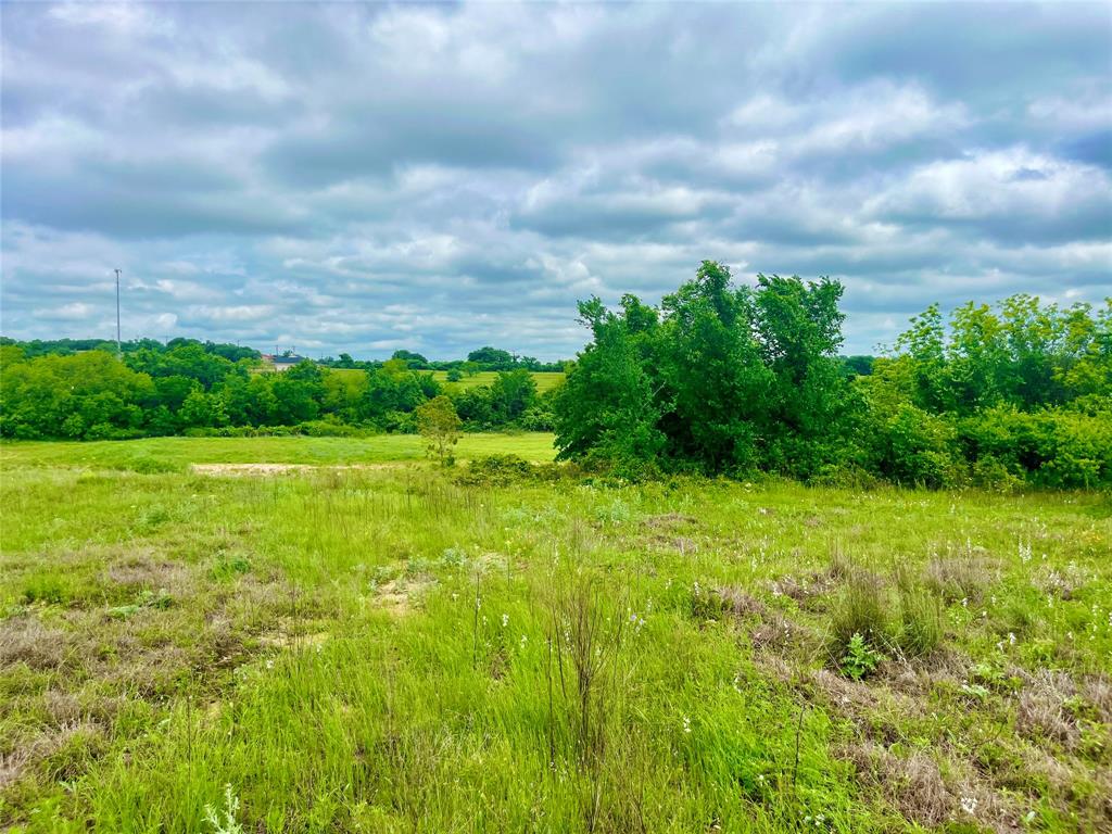 Lot 8 Clare Road Poolville, TX 76487 - Photo 2 of 4 View of nature
