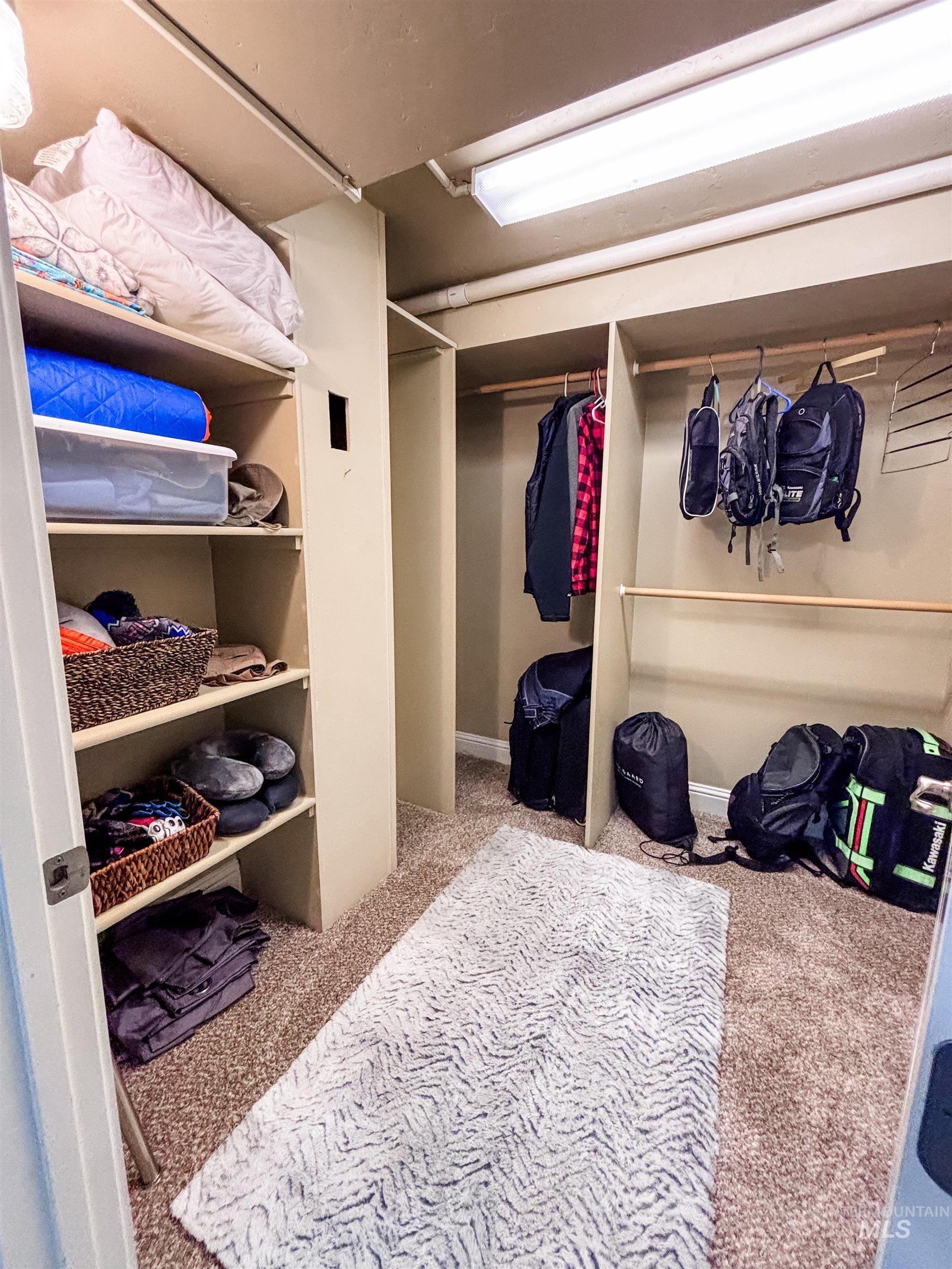 743 North Horseshoe Bend Road Eagle, ID 83616 - Photo 22 of 27 Walk in closet featuring light colored carpet