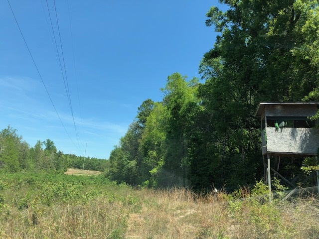 14000 County Road 54 Silverhill, AL 36576 - Photo 11 of 14