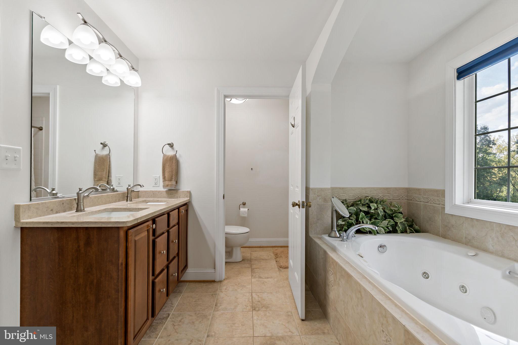 33 Caesar Road Harpers Ferry, WV 25425 - Photo 33 of 47 a bathroom with a tub a sink and a large mirror