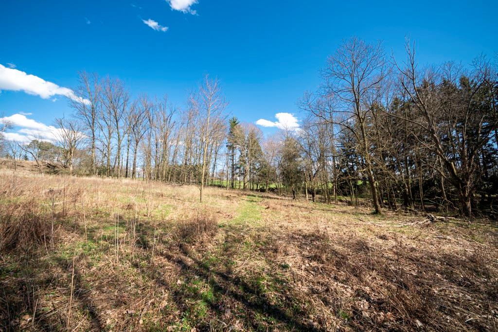 5 Reif Lane Butler, PA 16002 - Photo 8 of 24 Gallery Image 8