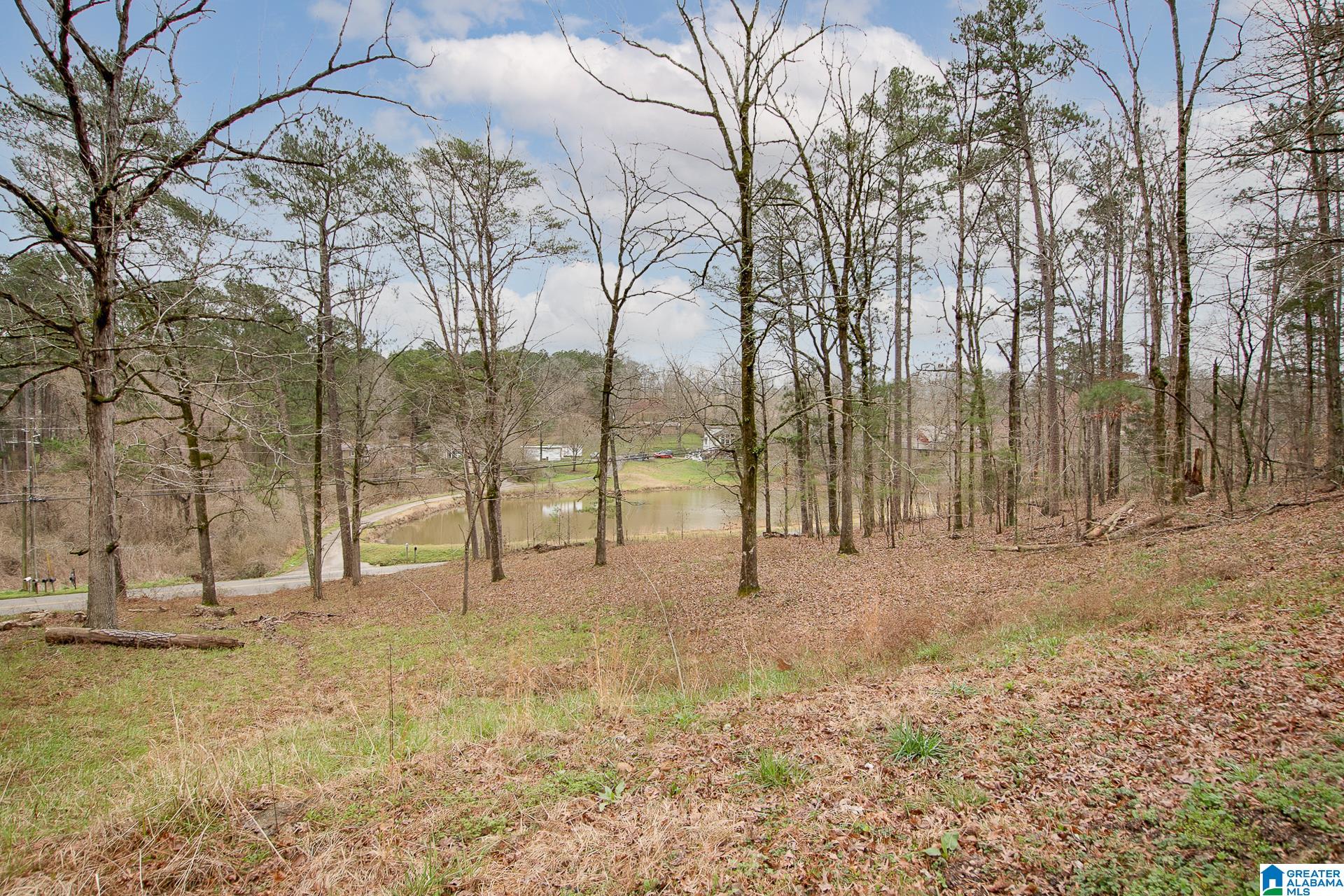 8750 Old Tennessee Pike Road Pinson, AL 35126 - Photo 2 of 35