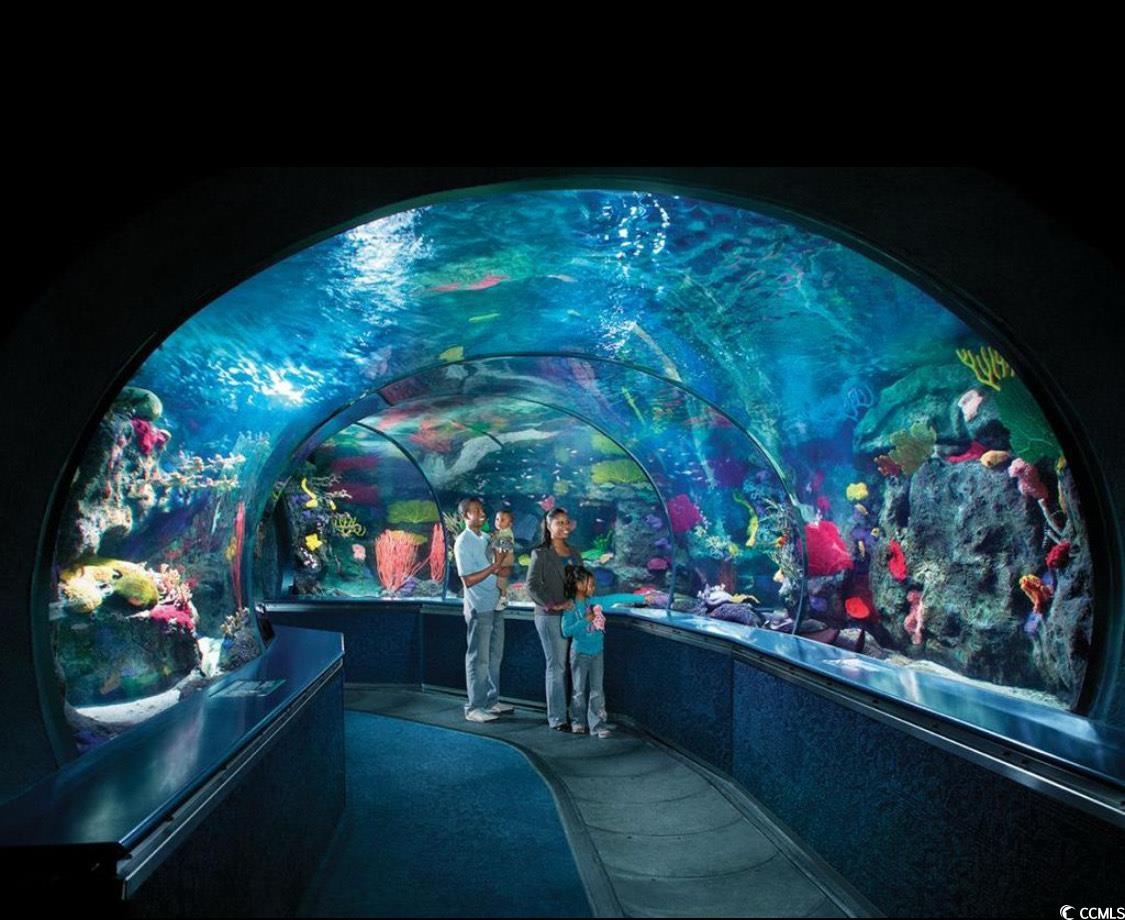 4603 Arran Court, Unit C Myrtle Beach, SC 29579 - Photo 32 of 34 Home theater room featuring carpet floors