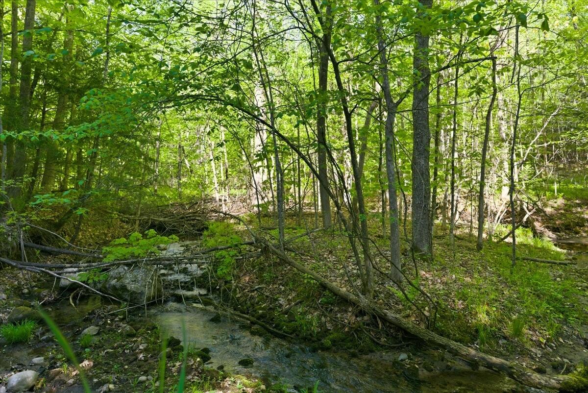 263 Number Six Road Oxford, ME 04270 - Photo 34 of 72 034-1_Landscape 16