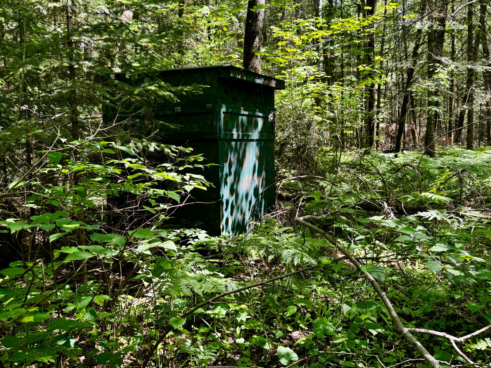 Nine Camp 9 Road Minocqua, WI 54548 - Photo 17 of 37 Gallery Image 17