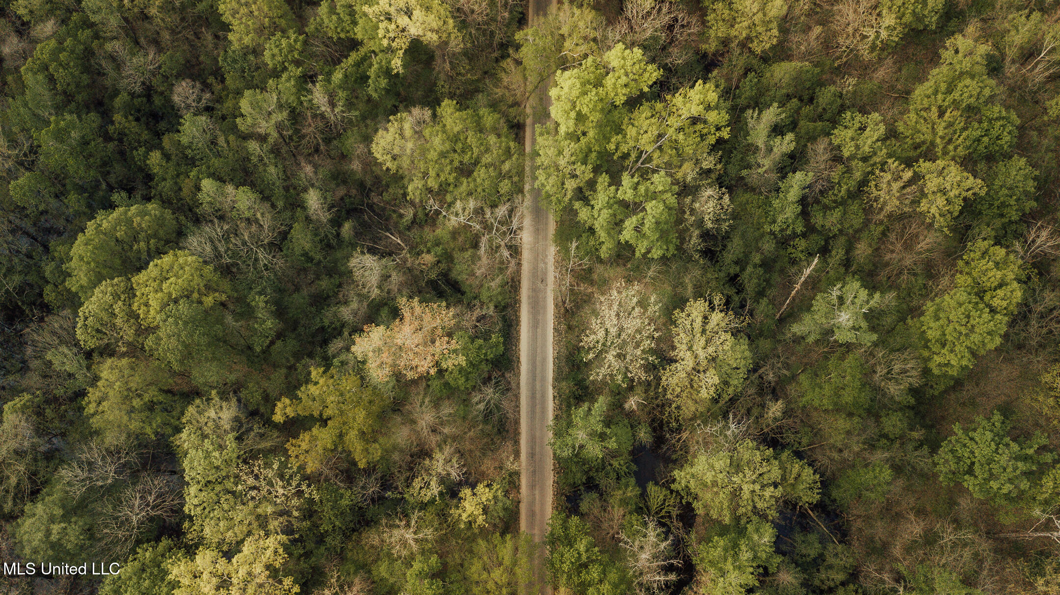 168 Adams Warner Road Poplarville, MS 39470 - Photo 11 of 55 40 Pearl River Drone-11
